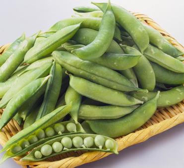 えんどう豆 ざる盛り えんどう豆 ざる盛り えんどう豆,グリーン,豆の写真素材