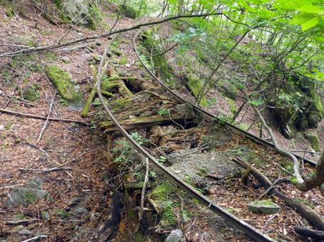 森に還る木橋:西沢森林軌道跡 森に還る木橋:西沢森林軌道跡 森林鉄道,廃線,線路の写真素材