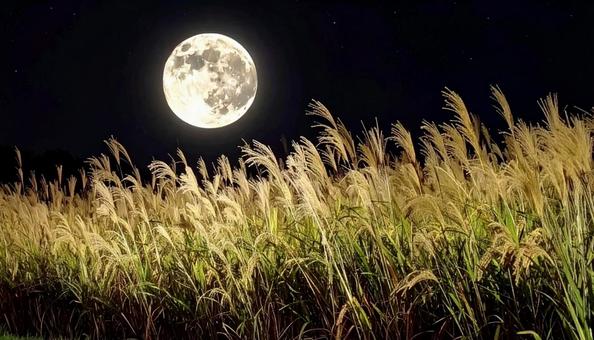 満月とすすき 秋イメージ 満月とすすき 秋イメージの写真