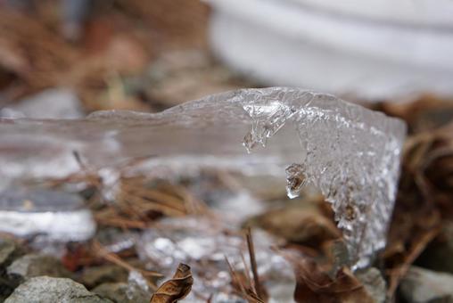 バケツ氷 冬の楽しみ バケツ氷 冬の楽しみ 丸い,氷,バケツの写真素材