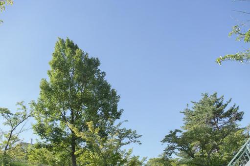 山 山の写真