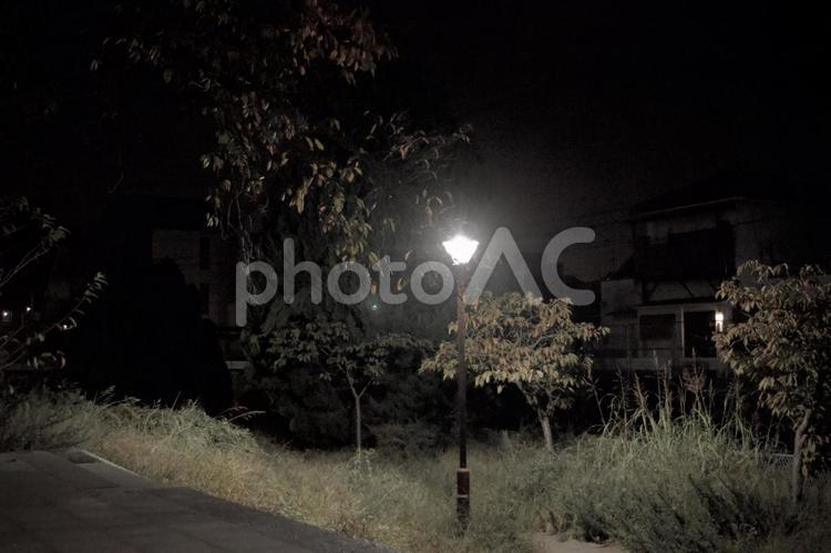 ぽつんと街灯 月,自然,怪しげの写真素材