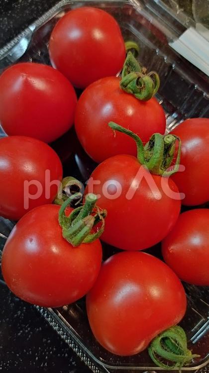 ミニトマト ミニトマト,夏野菜,野菜の写真素材