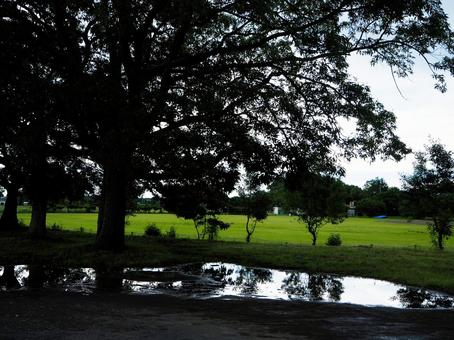 水たまり 水たまり 水たまり,雨,背景の写真素材