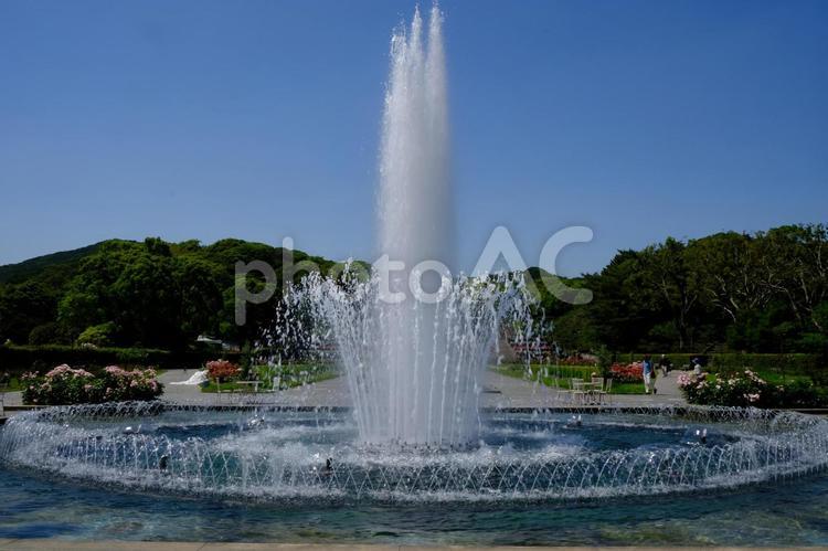 須磨離宮公園 噴水,公園,須磨の写真素材