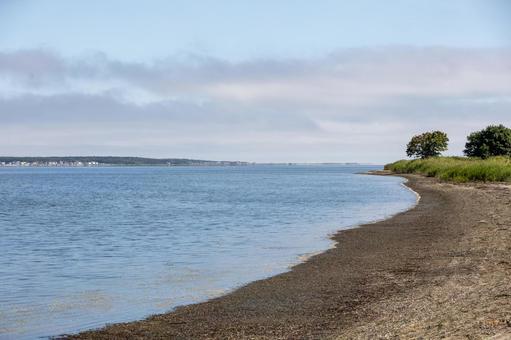 アッケシソウ群落とサロマ湖畔1 アッケシソウ群落とサロマ湖畔1の写真