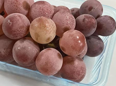 ぶどう 安芸クイーン ぶどう 安芸クイーン ぶどう,果物,グレープの写真素材