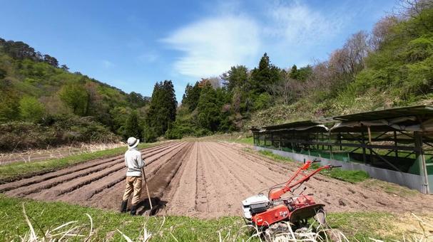 畑を耕す 畑を耕す 畑,畝立て,管理機の写真素材
