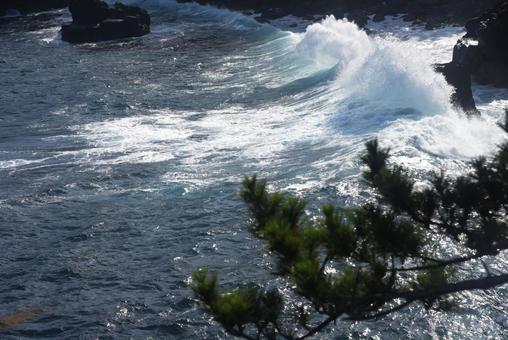 海　波の写真