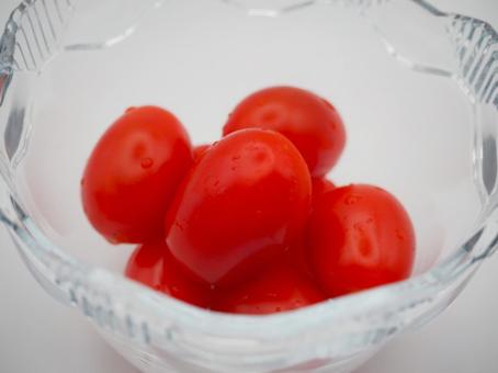 ミニトマト ミニトマトの写真
