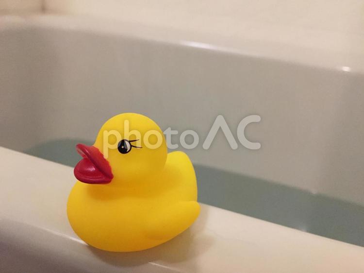 アヒルとお風呂 アヒルとお風呂 お風呂,バスタイム,入浴の写真素材