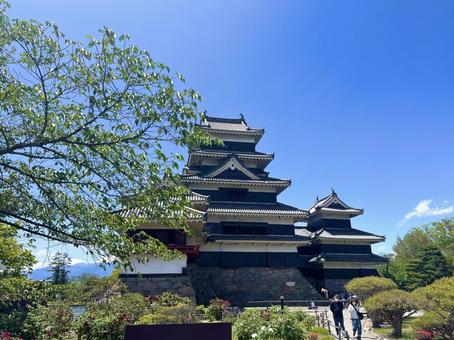 晴天の松本城の写真