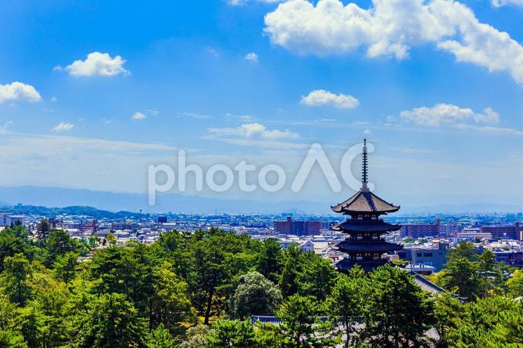 奈良の風景 お寺,コピースペース,五重塔の写真素材