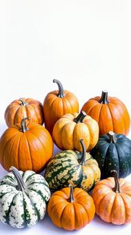 色々なカボチャ白背景　バナー素材向けの写真
