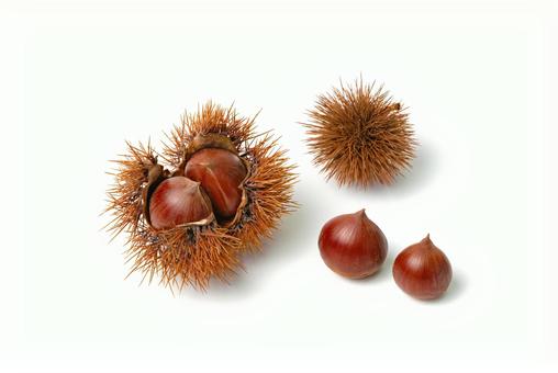 栗入りイガと栗とイガ 栗,クリ,くりの写真素材
