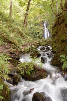 Okuseise Valley, lembah okuseise, aomori ken, kapentingan austria, JPG