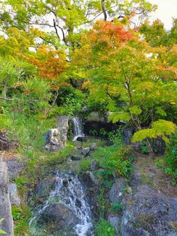 小さな滝 小さな滝 小さい滝,水,もみじの写真素材