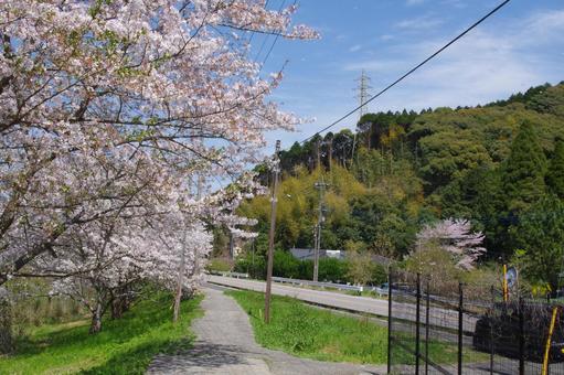 桜のある風景4 桜のある風景4の写真