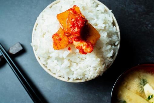 カクテキご飯 カクテキご飯 カクテキ,キムチ,ごはんの写真素材