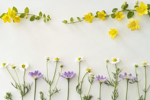 ポタニカルフレーム ポタニカルフレーム 花,フレーム,植物の写真素材