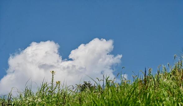 夏空と草原の風景 夏空と草原の風景の写真
