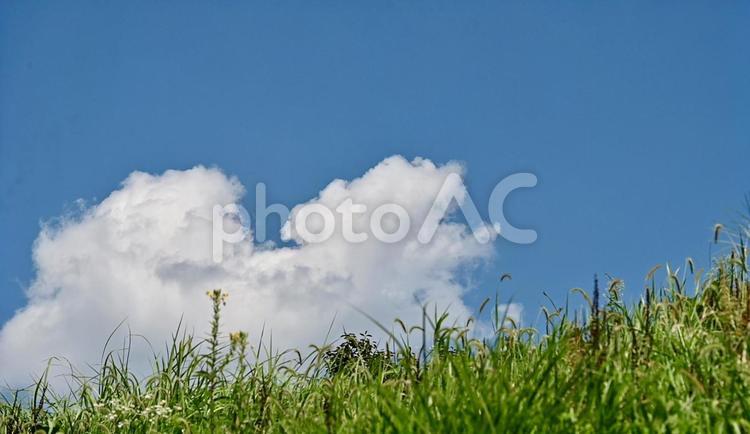 夏空と草原の風景 空,ハイキング,雑草の写真素材