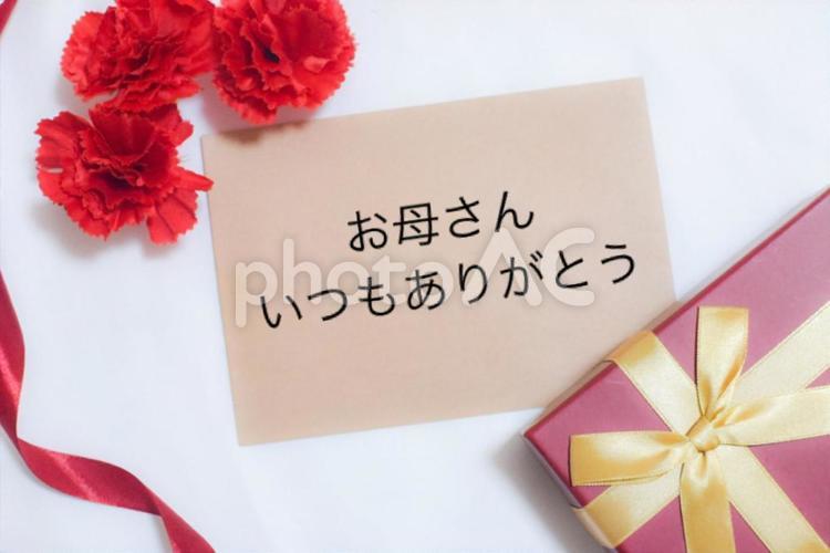 母の日　メッセージとカーネーション④ カーネーション,母の日,感謝の写真素材