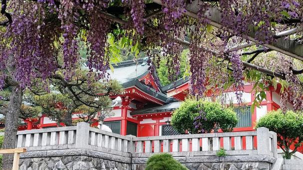 栃木県足利市織姫神社 栃木県足利市織姫神社の写真