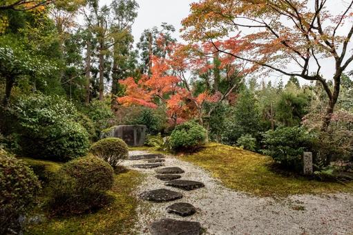 紅葉_042 紅葉_042の写真