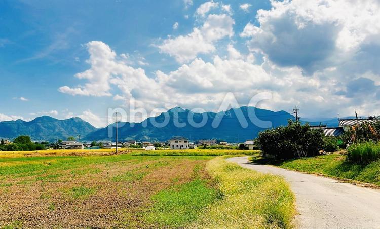 田舎の風景 田舎,道路,田舎道の写真素材