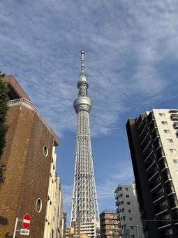 東京スカイツリー 東京スカイツリー 東京スカイツリー,墨田区,押上駅の写真素材