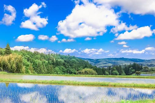 Photo, paddy field, water, sky, 