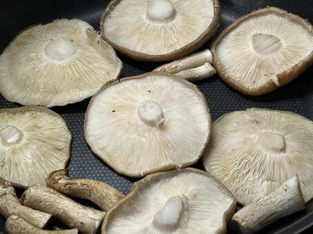 裏返して焼きます しいたけ,椎茸,焼くの写真素材