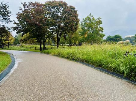 雨の日の美しい道の写真