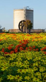 ゆりの里公園の写真