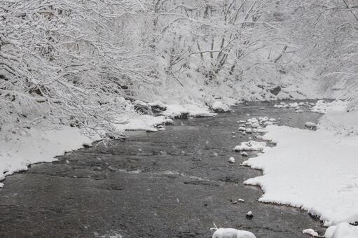 冬の渓流⒁ 冬,渓流,川の写真素材