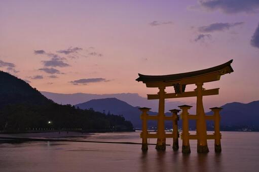 宮島：厳島神社・大鳥居・夕焼け 宮島,厳島神社,日本三景の写真素材