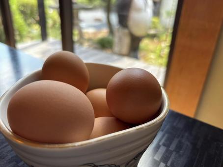 たくさんの卵、鶏卵 鶏卵,卵,生卵の写真素材