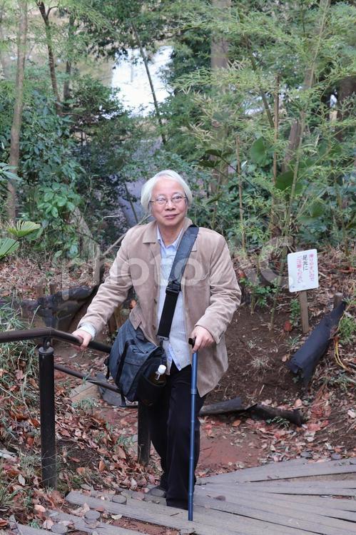 手すりを頼りに散策するシニア_タテ位置 シニア,新緑,手すりの写真素材