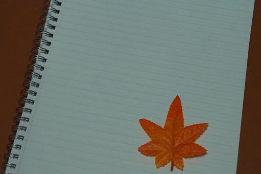 Maple background, JPG Maple background, JPG