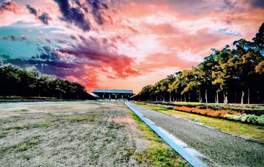 秋の緑地にて 秋の緑地にての写真