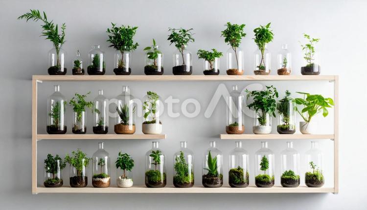 植物をモチーフとしたエコアート作品 植物,エコアート,インテリアの写真素材