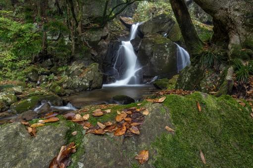 秋の滝川渓谷 秋の滝川渓谷 秋,紅葉,渓流の写真素材