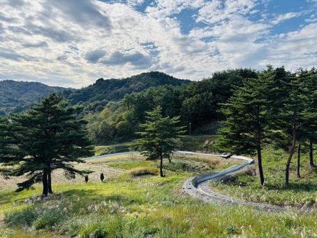 自然の風景 自然の風景の写真