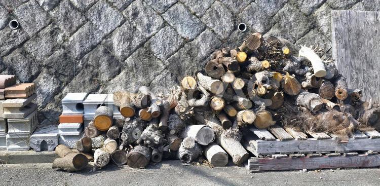 伐採木 伐採木,伐採,伐採後の写真素材