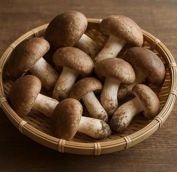 木のざるに盛られた新鮮なきのこ 木のざるに盛られた新鮮なきのこの写真