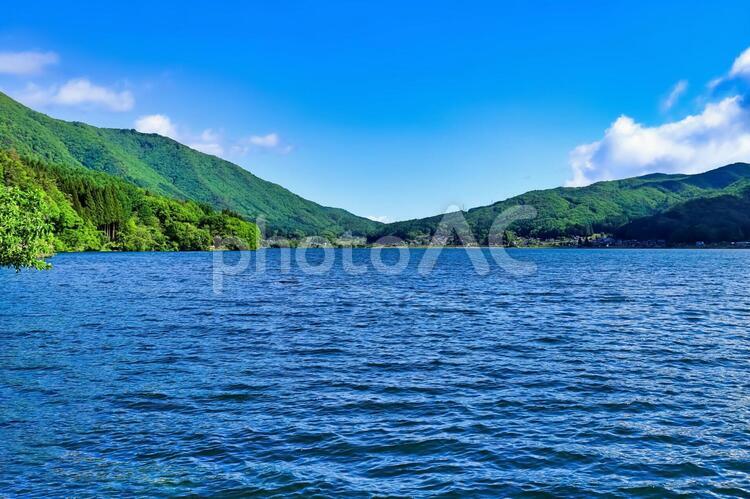 夏の晴れた日の湖のほとり 夏,空,湖の写真素材