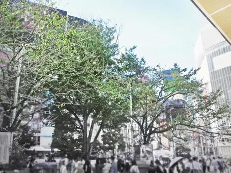渋谷駅 ハチ公前 渋谷駅 ハチ公前の写真