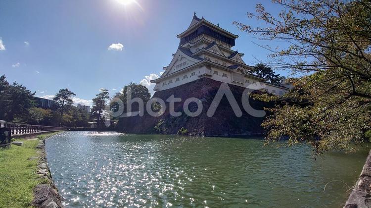 水面がきらめく堀の真ん中に建つ城 小倉城,城,天守閣の写真素材