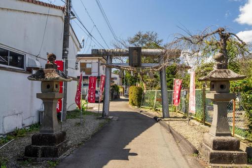 二柱神社⑽ 二柱神社⑽ 神社,二柱神社,仁和多利大権現の写真素材